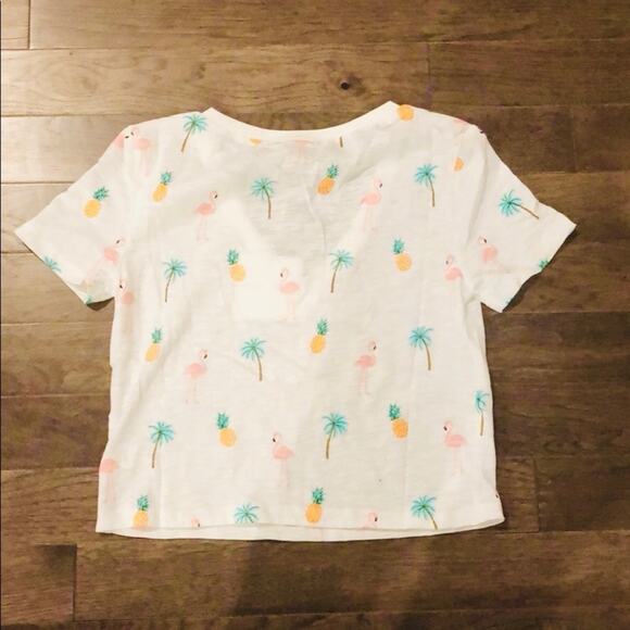 Pineapple Flamingo Top Print Cropped - Picture 6 of 8